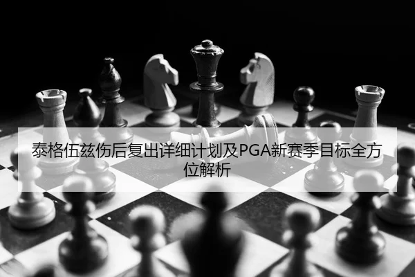 tai-ge-wu-zi-shang-hou-fu-chu-xiang-xi-ji-hua-ji-xin-sai-ji-mu-biao-quan-fang-wei-jie-xi-2-487.jpg